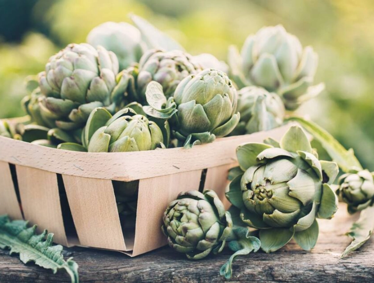 artichoke season months