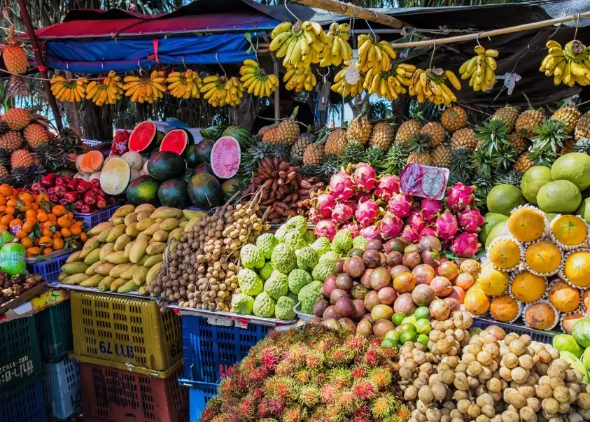 seasonal fruits guide