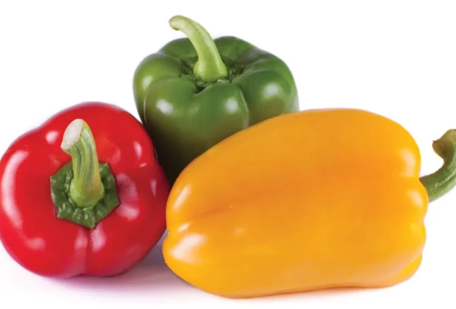 how to grow bell peppers