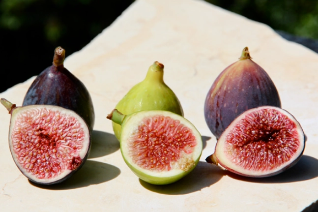 growing figs