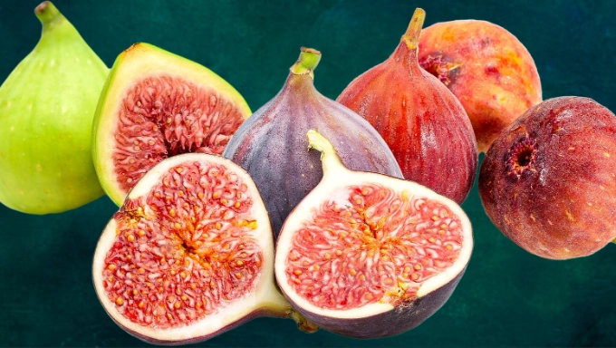 fig varieties
