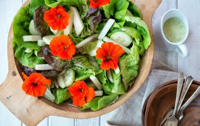 how to eat nasturtium leaves
