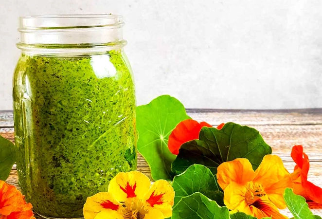 how to eat nasturtium leaves