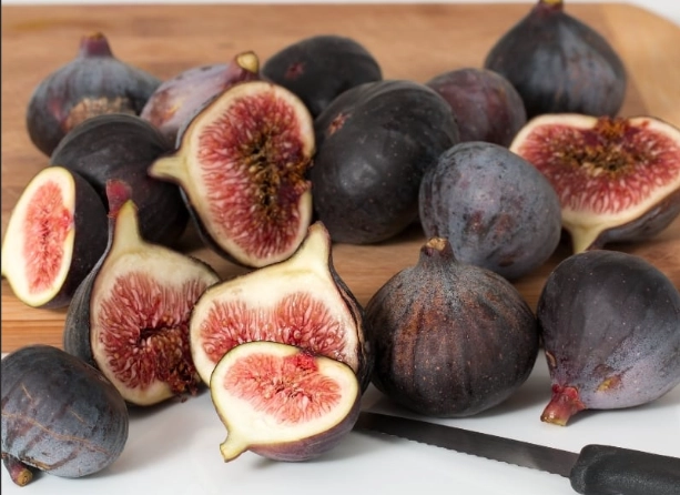 fig varieties
