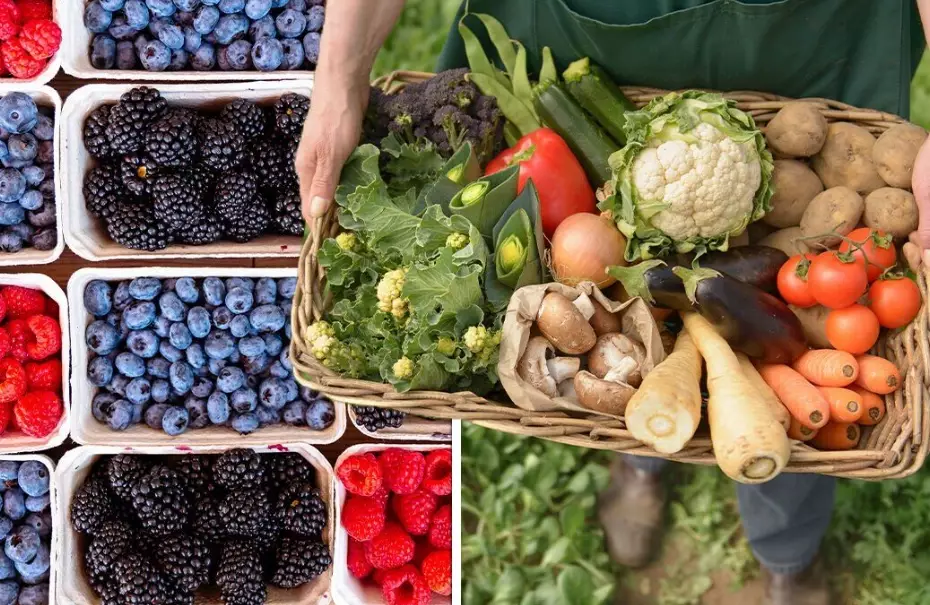 fruits in season now