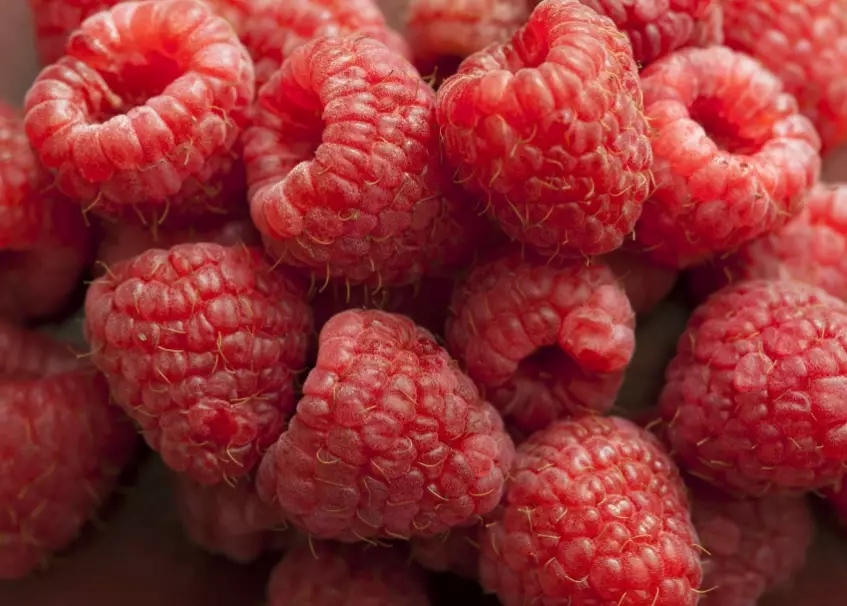 raspberry fruit
