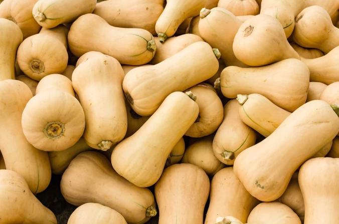 butternut squash season