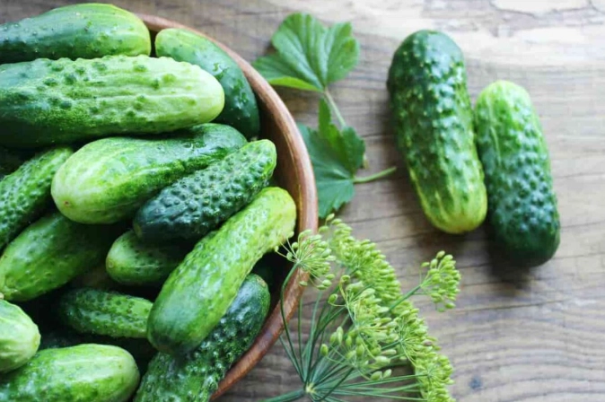 best pickling cucumber varieties
