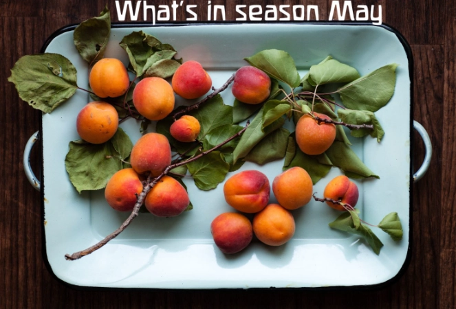 best fruits to eat in may