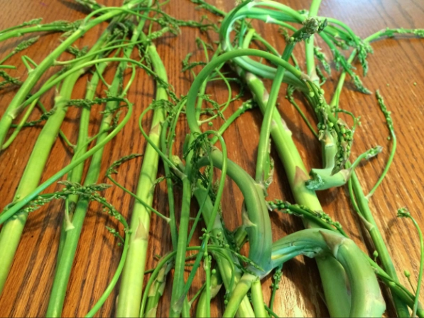 asparagus appearance