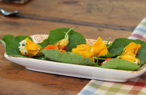 are nasturtiums edible