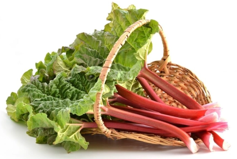rhubarb season