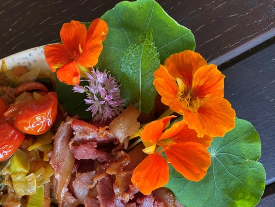 are nasturtiums edible