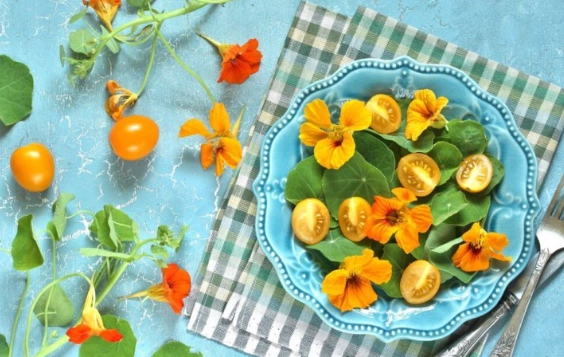 edible nasturtium recipes