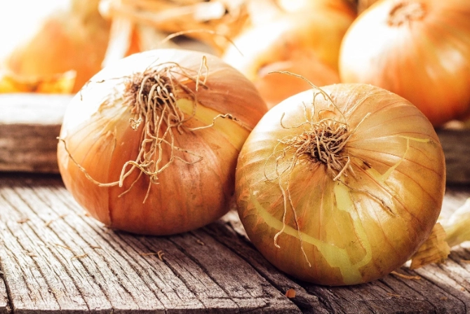how to grow Walla Walla onions