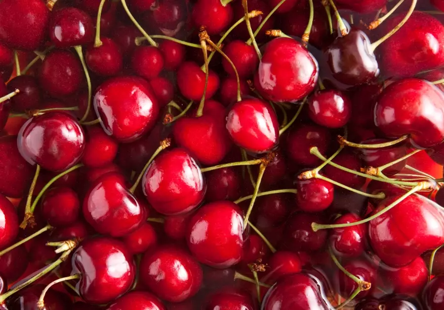 cherry season by month