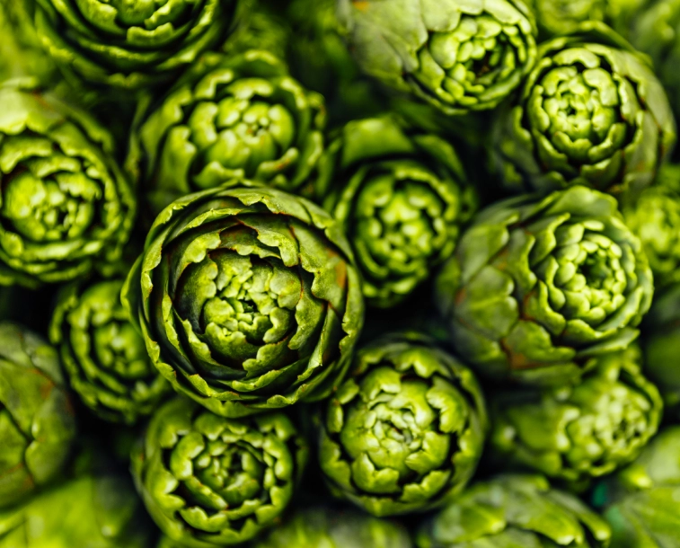 when are artichokes in season