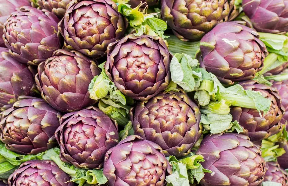 artichoke season