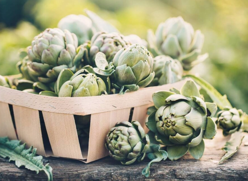 when are artichokes in season