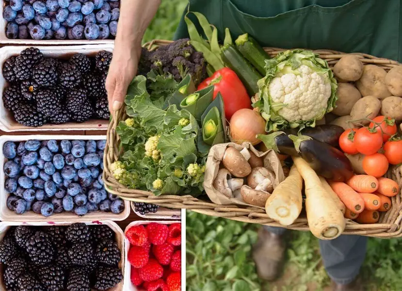 seasonal fruit chart