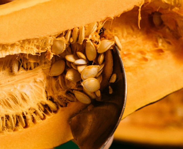 squash seeds nutrition