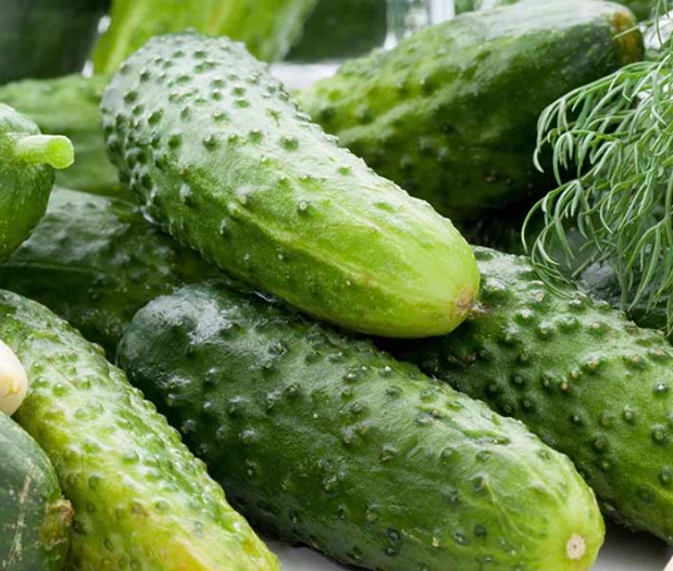 how to choose pickling cucumbers