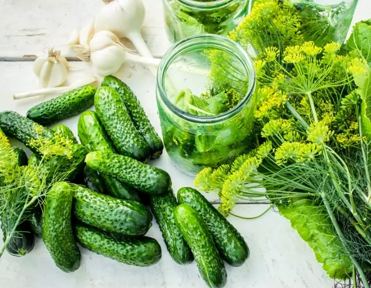 how to choose pickling cucumbers