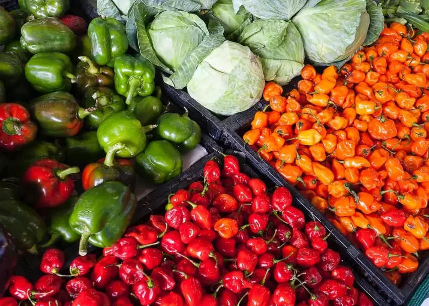 seasonal fruits september