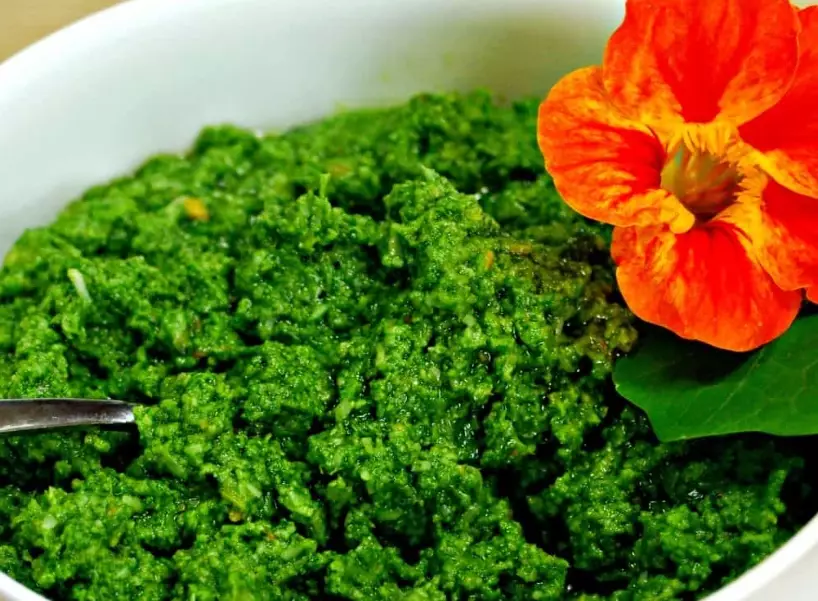 how to make nasturtium pesto