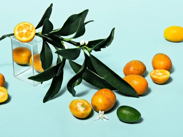 buy kumquats buy kumquats