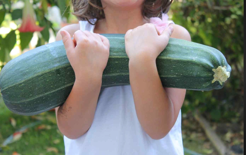 large zucchini recipes