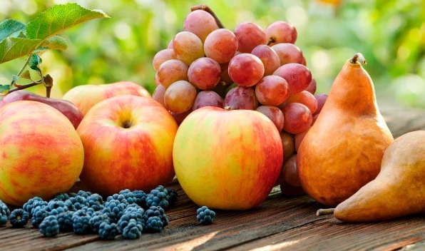 best fruits to buy now