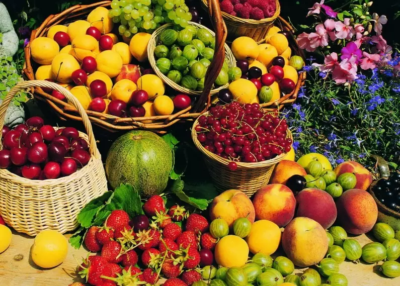 fruits by season