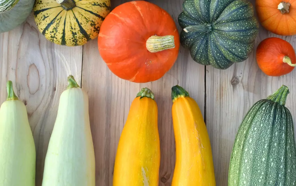 how to store squash