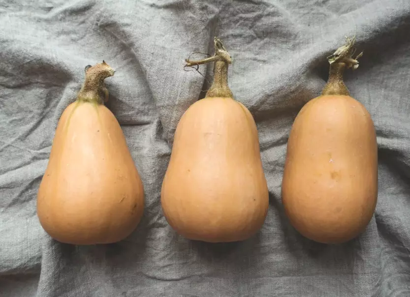 butternut squash not ripe