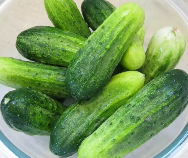 pickling cucumber varieties