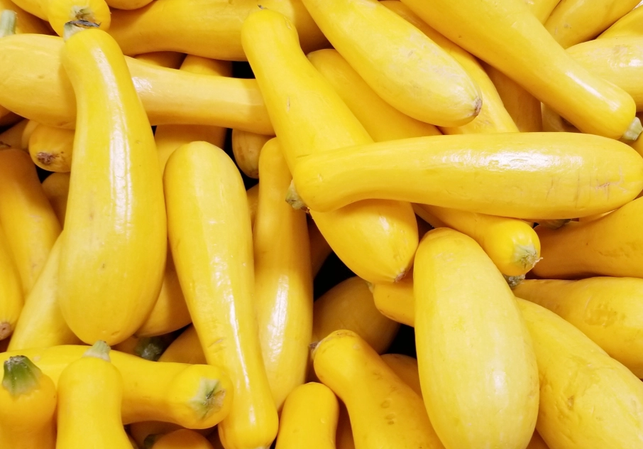 how to store squash