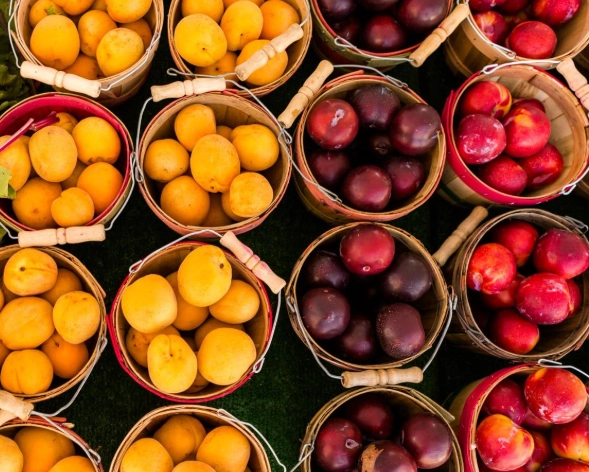 seasonal fruits