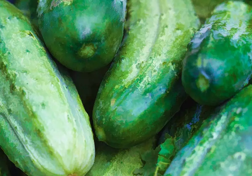 cucumber pickling recipe