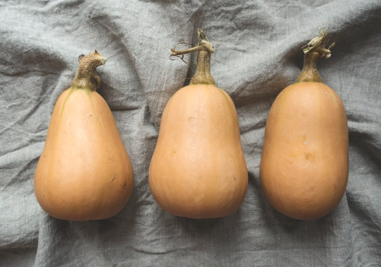 how to tell when butternut squash are ripe