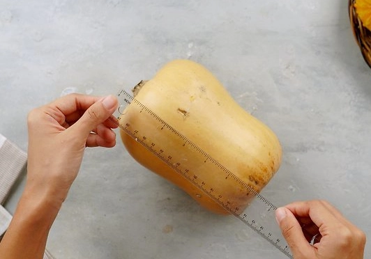 when to harvest butternut squash
