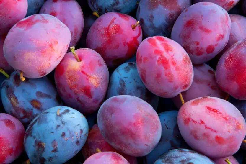 red plum vs black plum