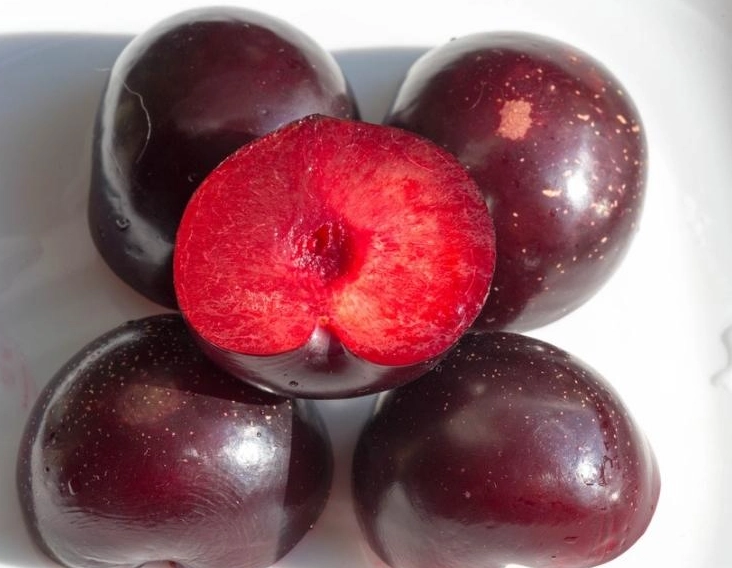 best plums for baking best plums for baking