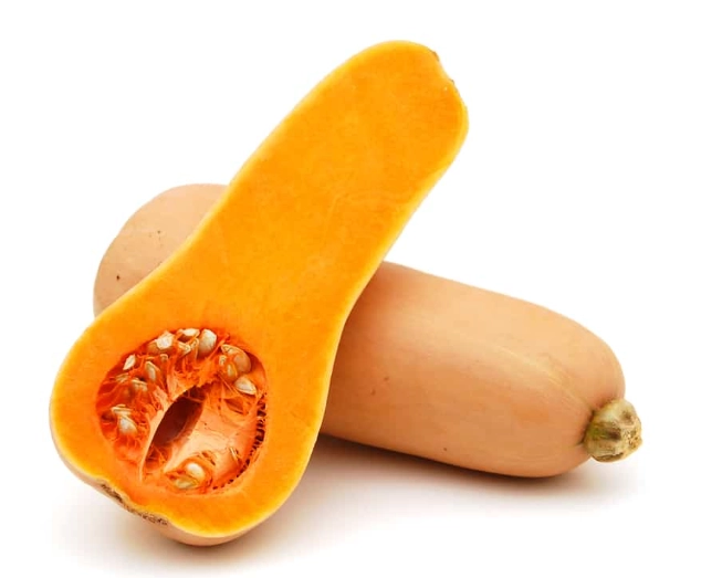 harvest butternut squash