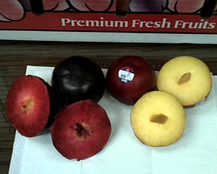 best plums for baking best plums for baking