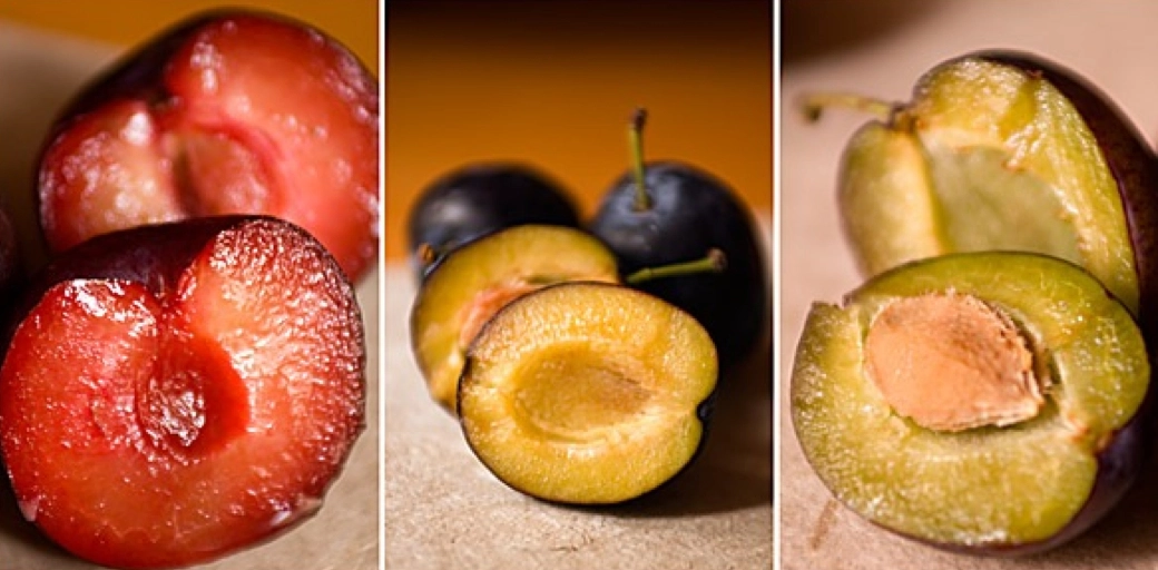 red plum health benefits red plum health benefits