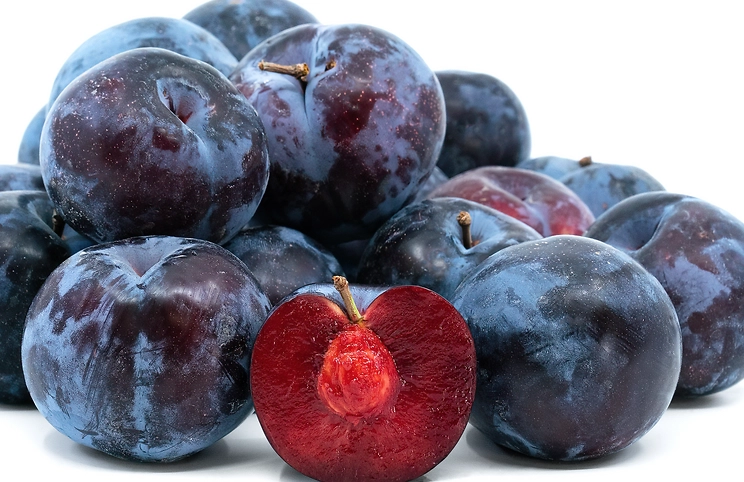 plum comparison plum comparison