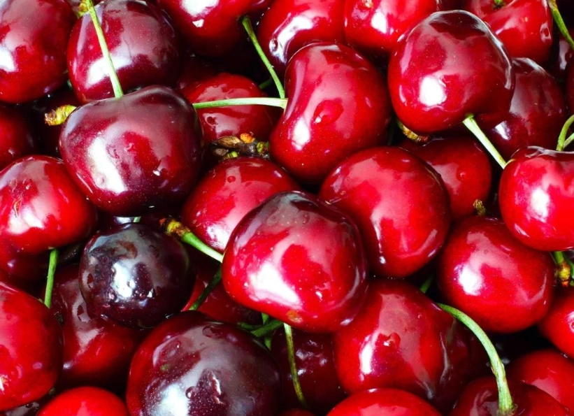 cherry picking California cherry picking California