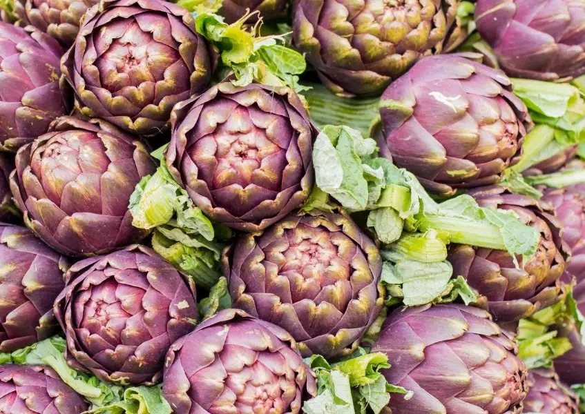 when are artichokes in season