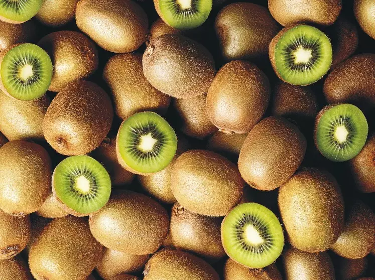 kiwi season